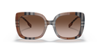 Brown Check