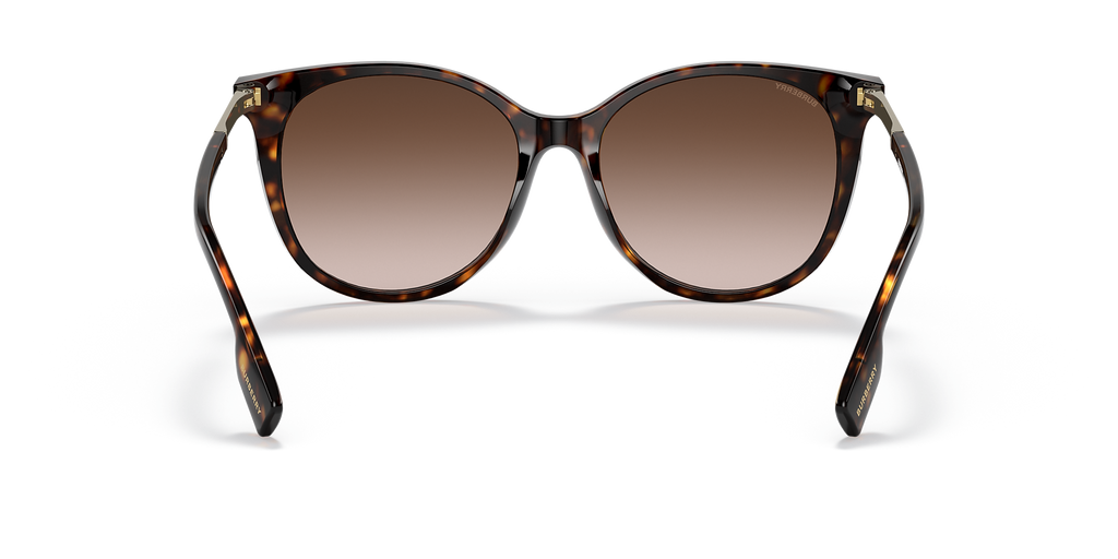 Dark Havana