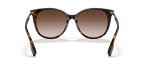 Dark Havana