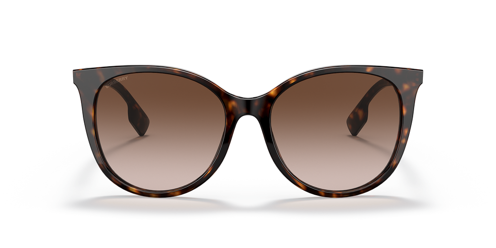 Dark Havana