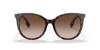 Dark Havana
