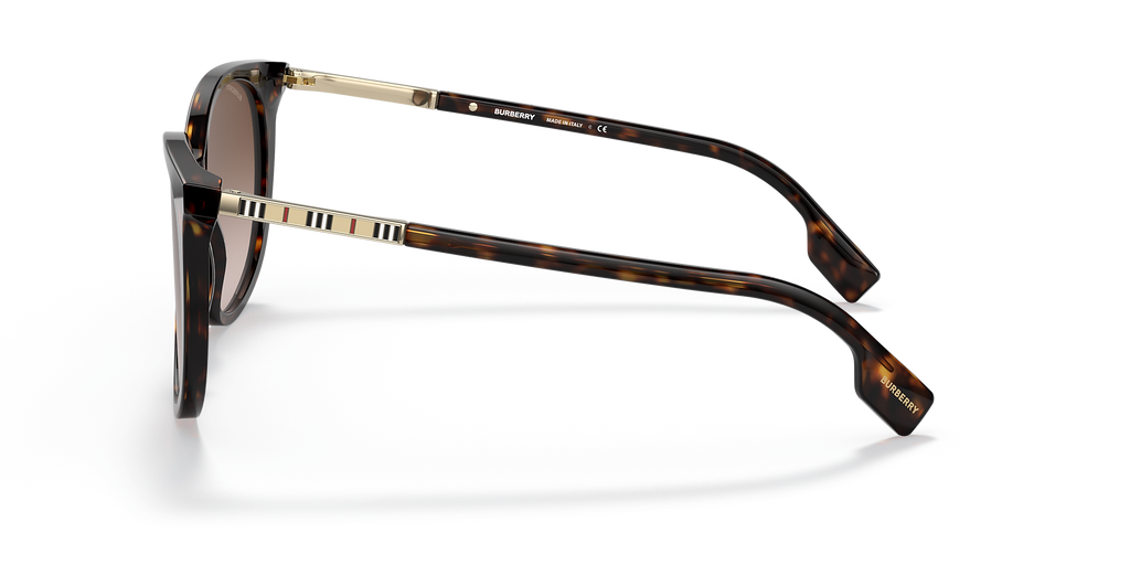 Dark Havana