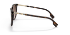Dark Havana