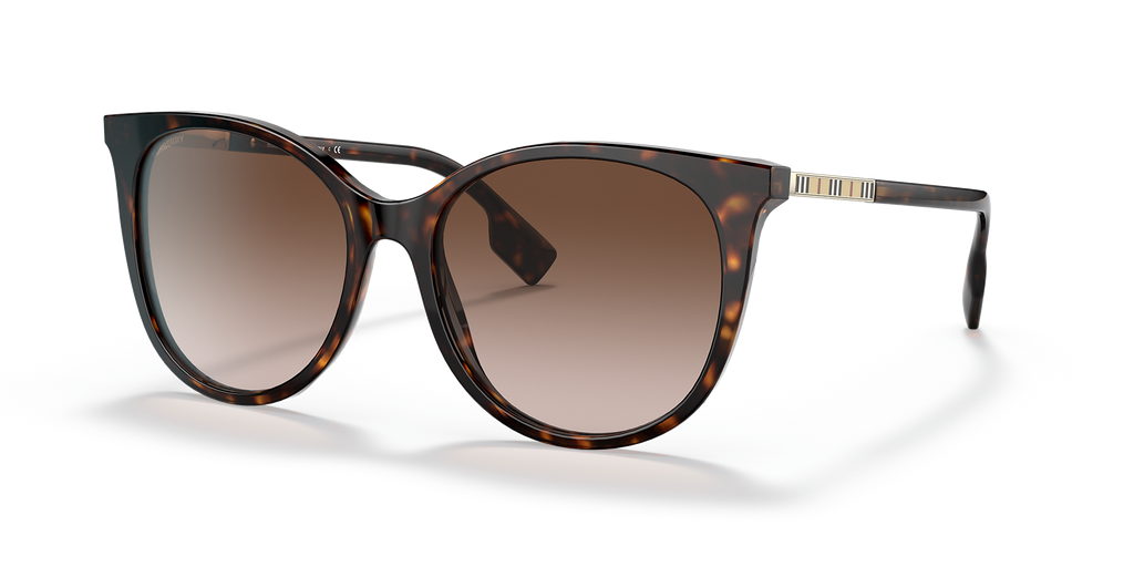 Dark Havana