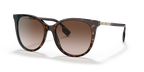 Dark Havana