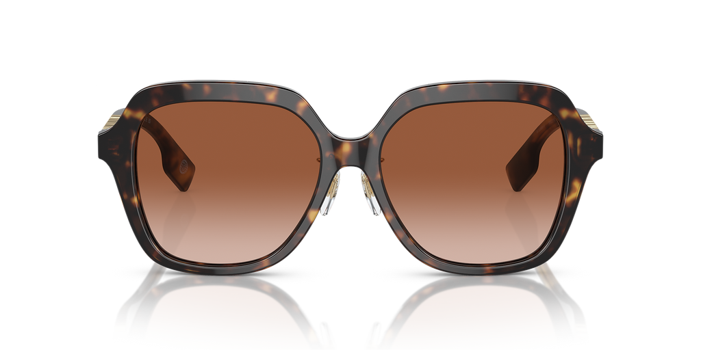 Dark Havana