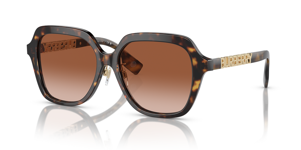 Dark Havana