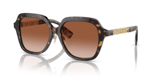 Dark Havana - Brown Gradient