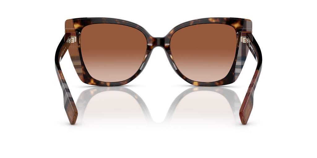 Dark Havana/Check Brown