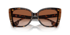Dark Havana/Check Brown