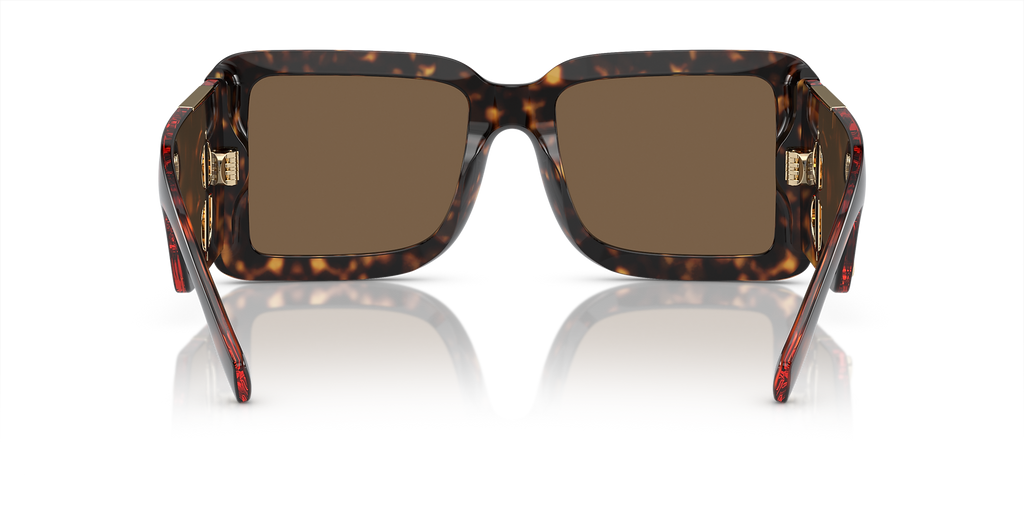 Dark Havana