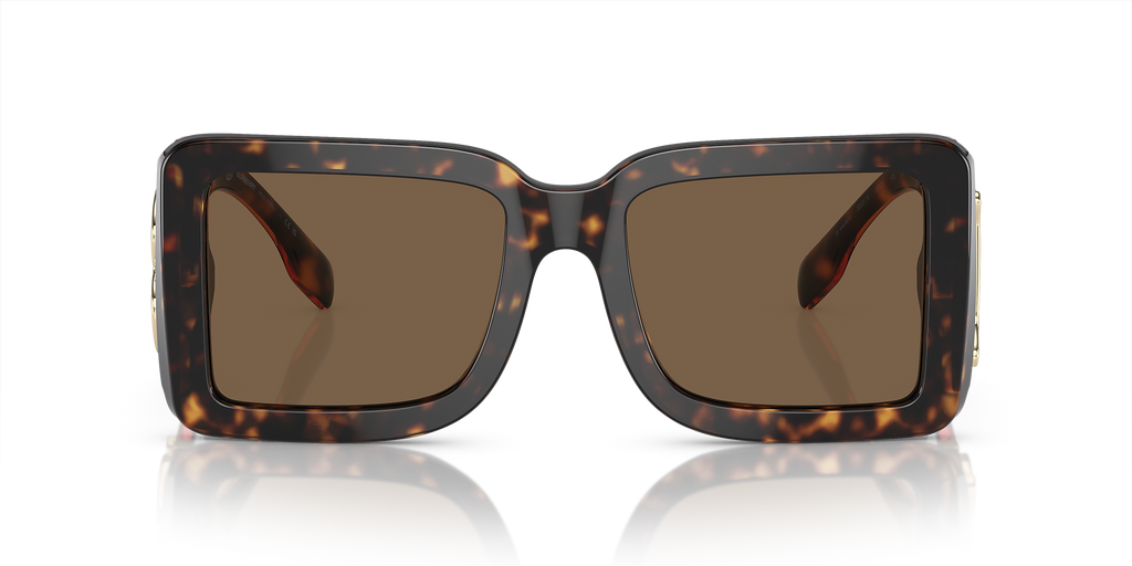 Dark Havana