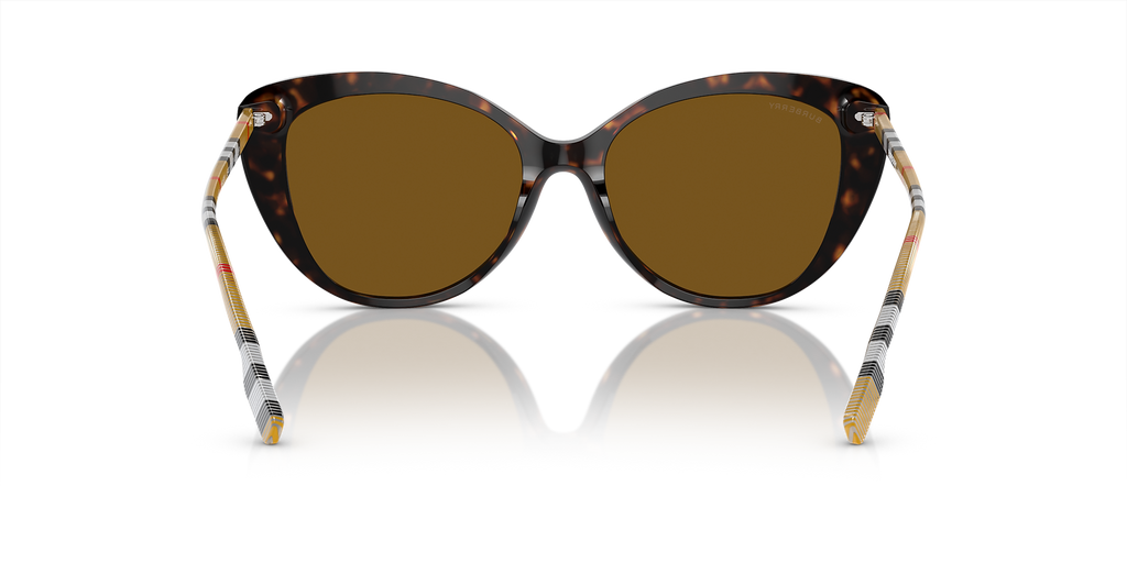 Dark Havana