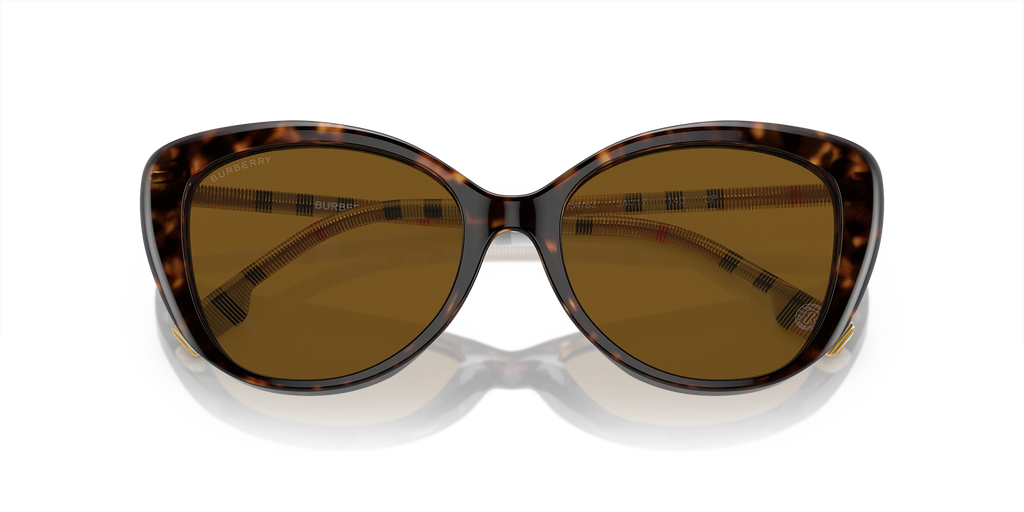 Dark Havana