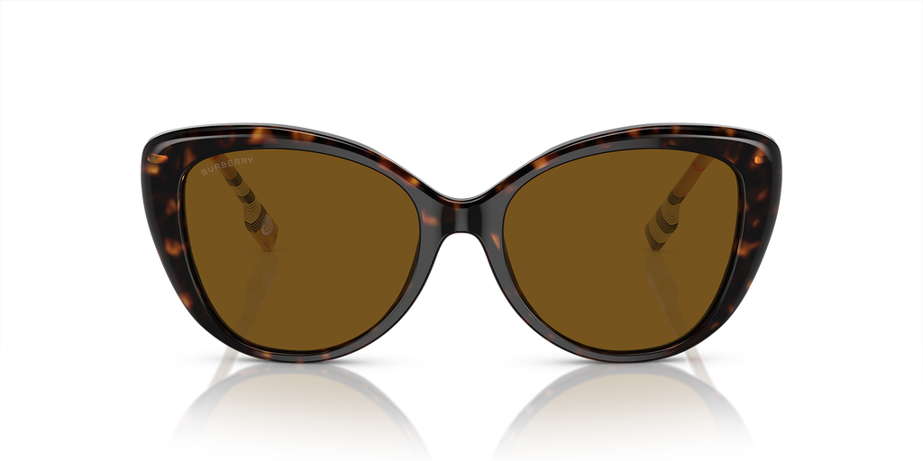 Dark Havana