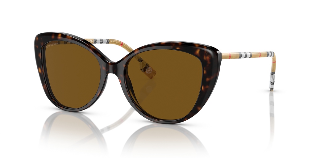 Dark Havana