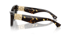 Dark Havana