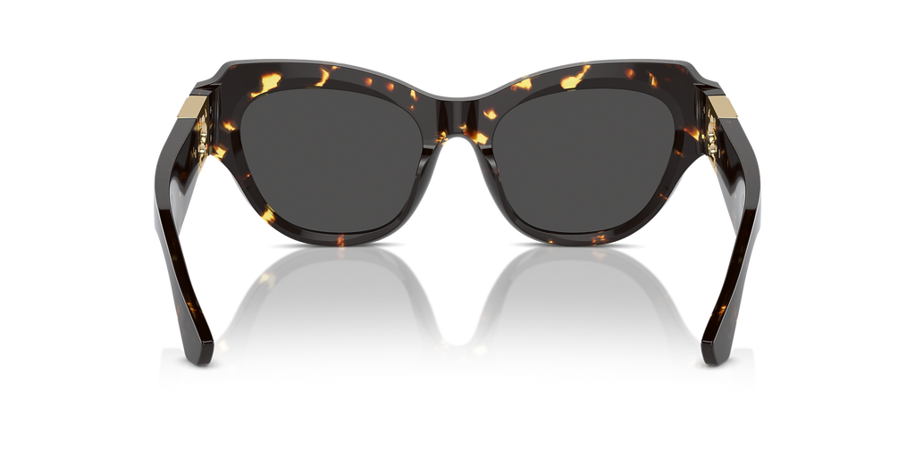 Dark Havana