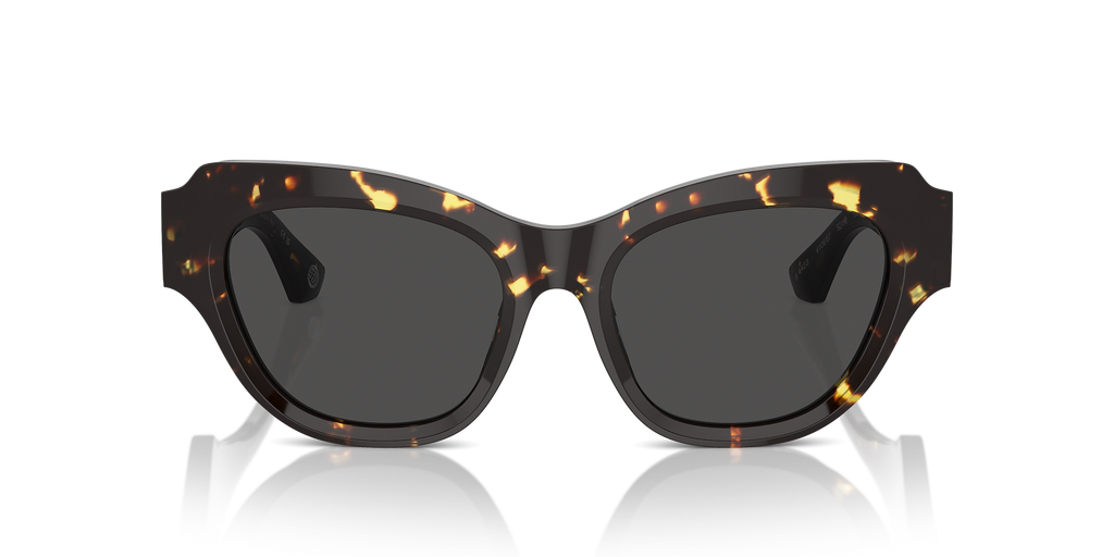 Dark Havana