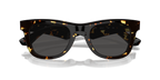 Dark Havana