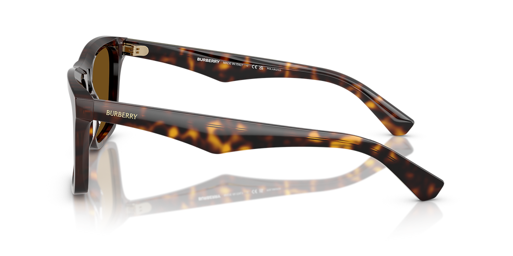 Dark Havana