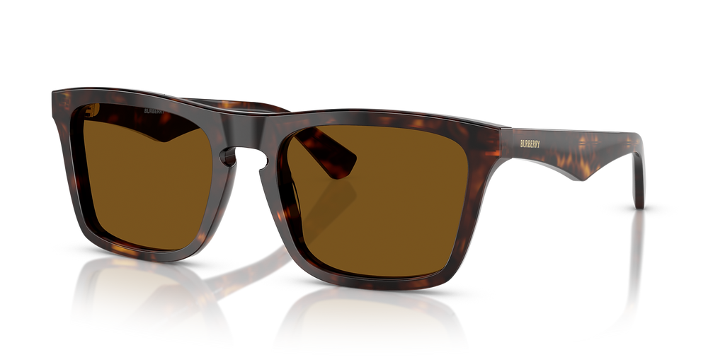 Dark Havana