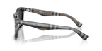 Check Lichen