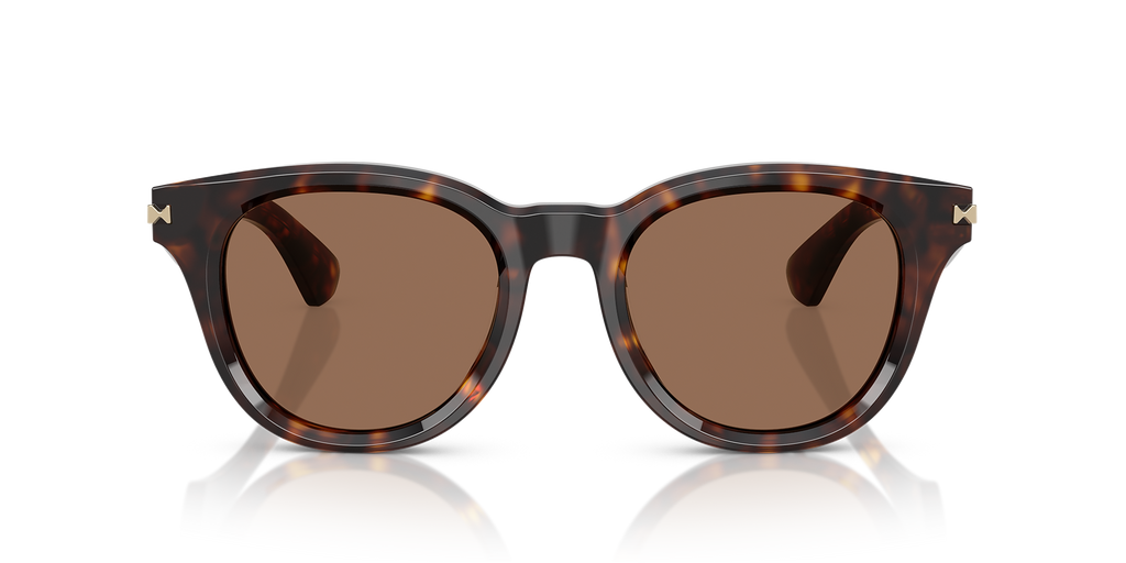 Dark Havana