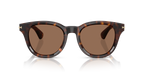 Dark Havana
