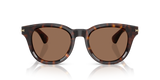Dark Havana