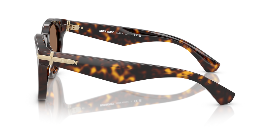Dark Havana