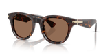 Dark Havana