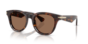 Dark Havana - Dark Brown