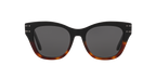 Shiny Black