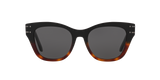Shiny Black
