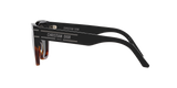 Shiny Black