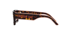 Tortoise
