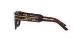 Tortoise