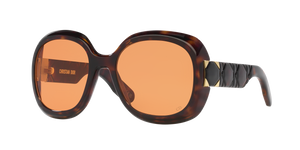 Tortoise  - Brown