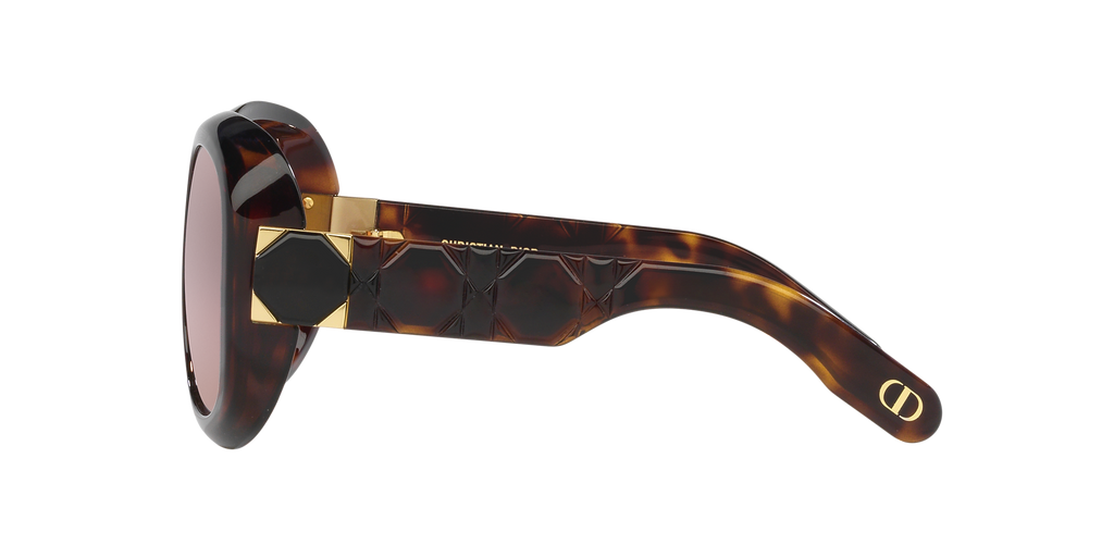 Tortoise
