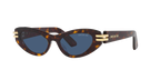 Tortoise