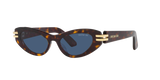 Tortoise