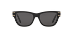 Black Shiny