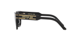 Black Shiny