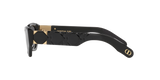 Black Shiny