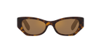 Tortoise