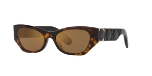 Tortoise  - Brown