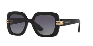 Black Shiny  - Grey