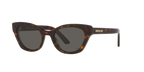 Tortoise
