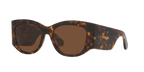 Tortoise
